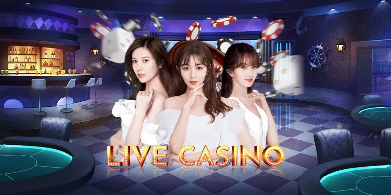 Đôi nét cơ bản về điều khoản sử dụng